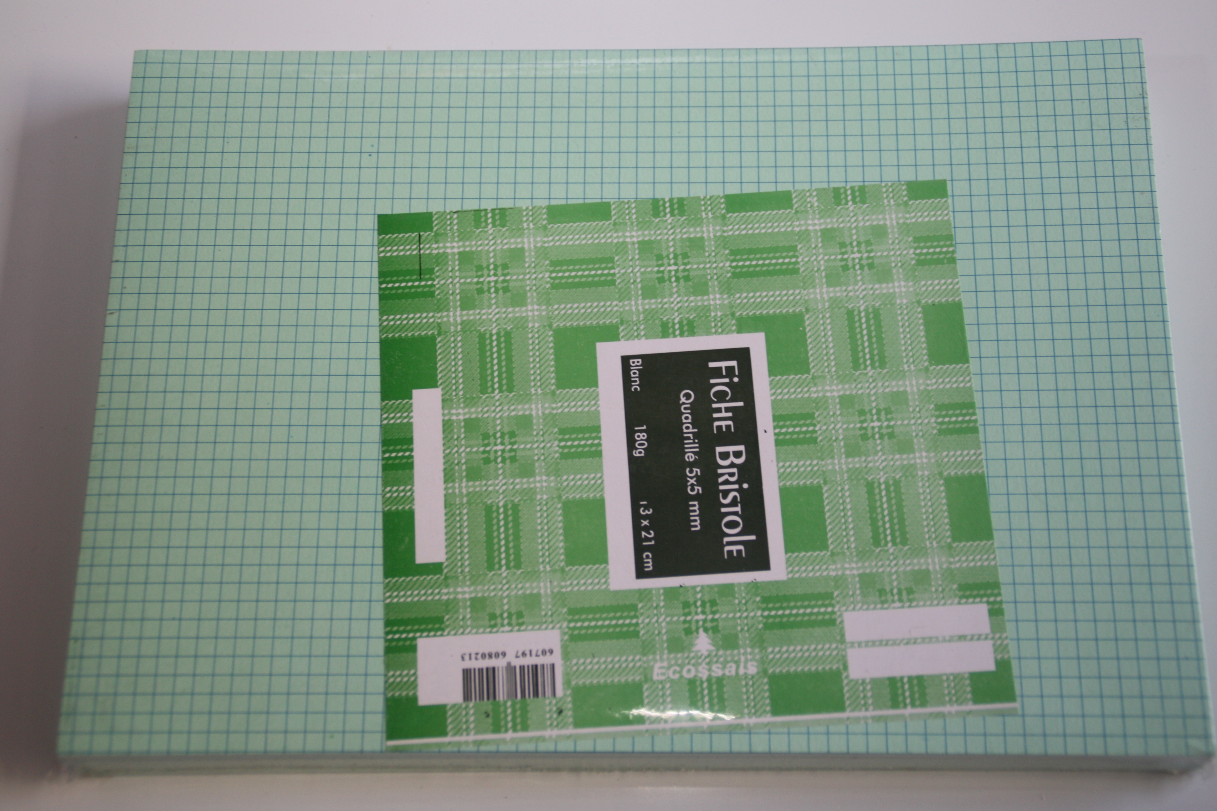 PAQUET DE FICHE BRISTOLE A4 COULEUR DE 100